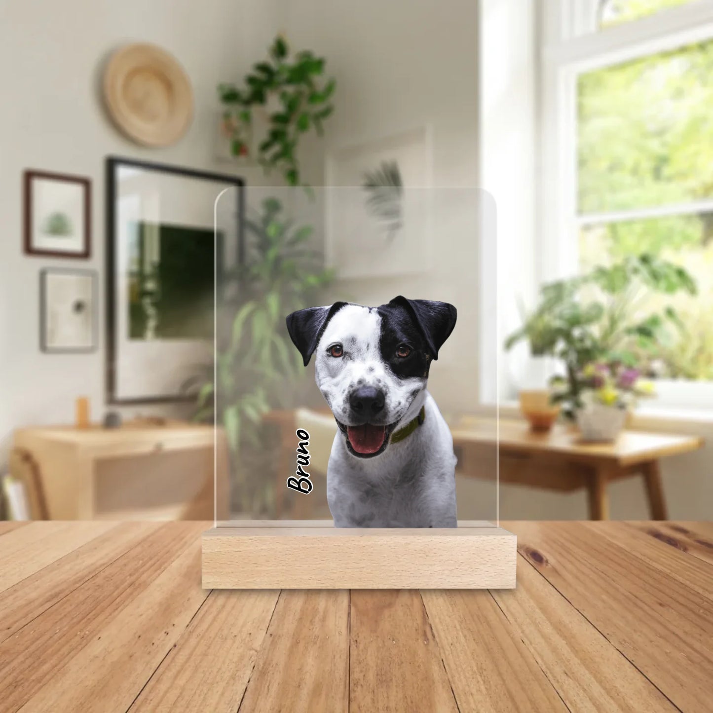 Personalisierte Acrylglasplatte - Hund/Katze/Haustier in Transparent